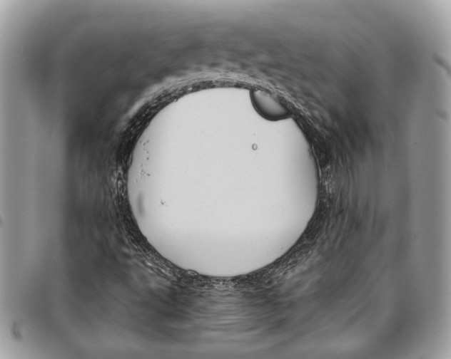 X0000096211495200802081449