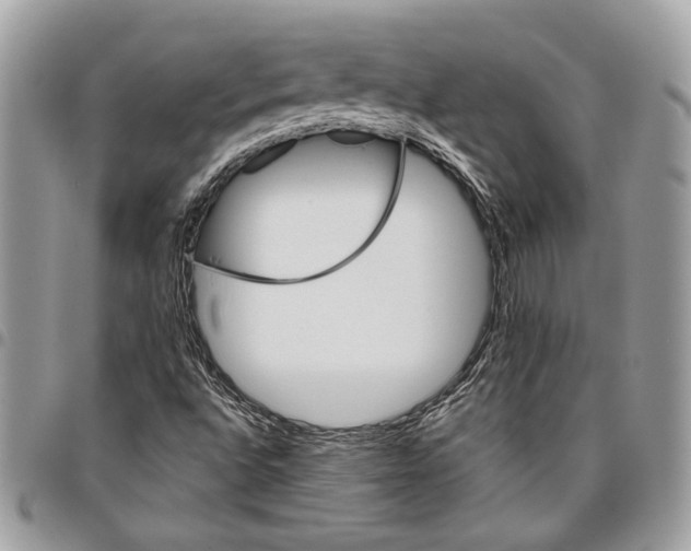 X0000096211496200802081449