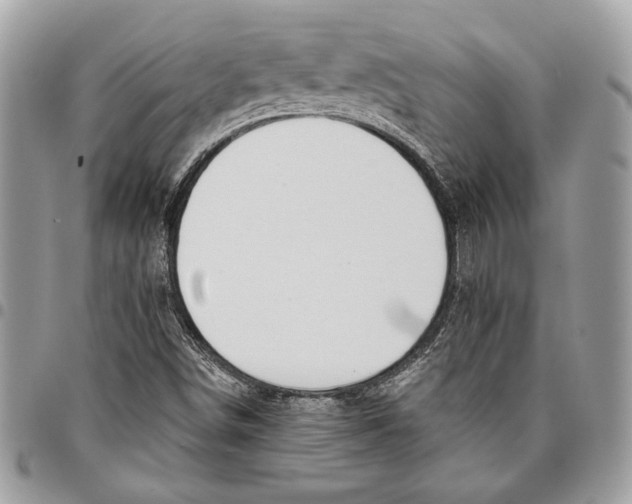 X0000096211498200802081449