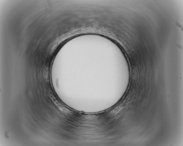 X0000096211499200802081449