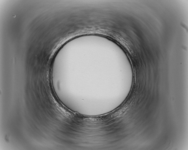 X0000096211500200802081449