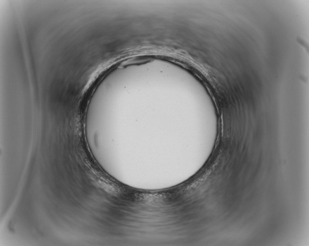 X0000096211501200802081449