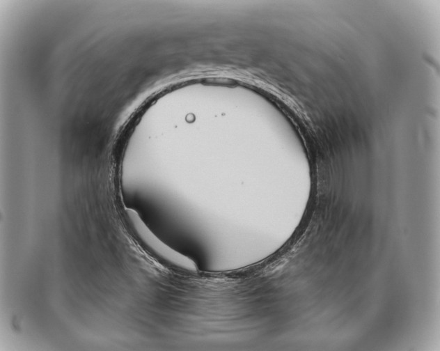 X0000096211502200802081449