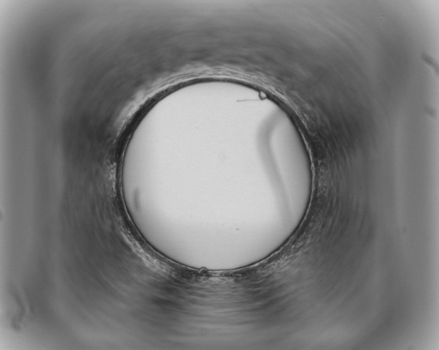 X0000096211503200802081449