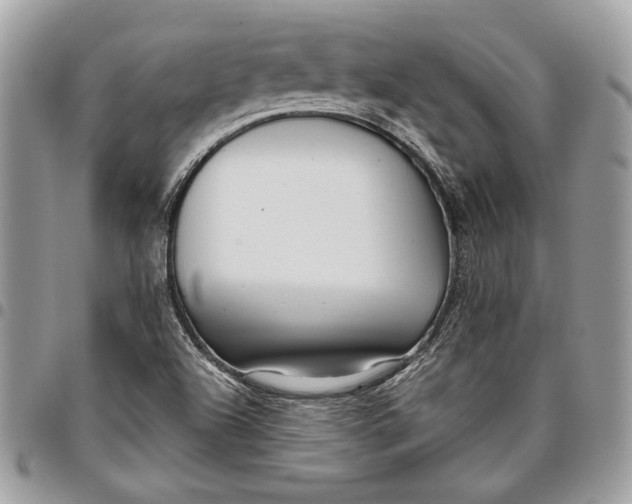 X0000096211504200802081449