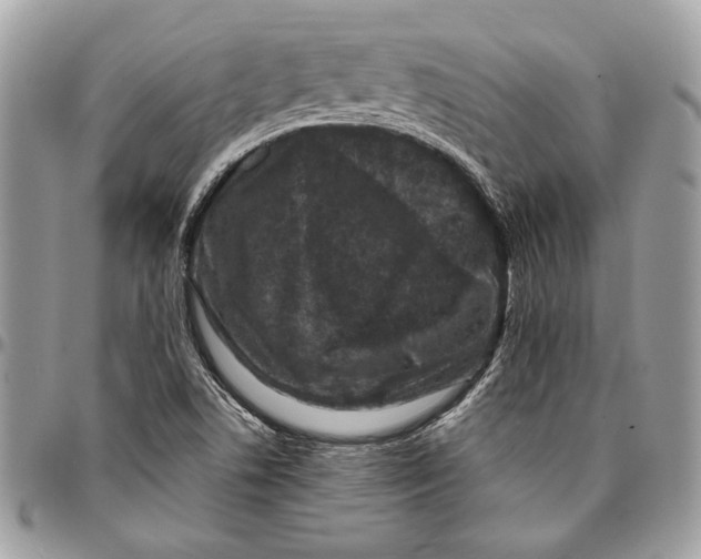 X0000096211506200802081449