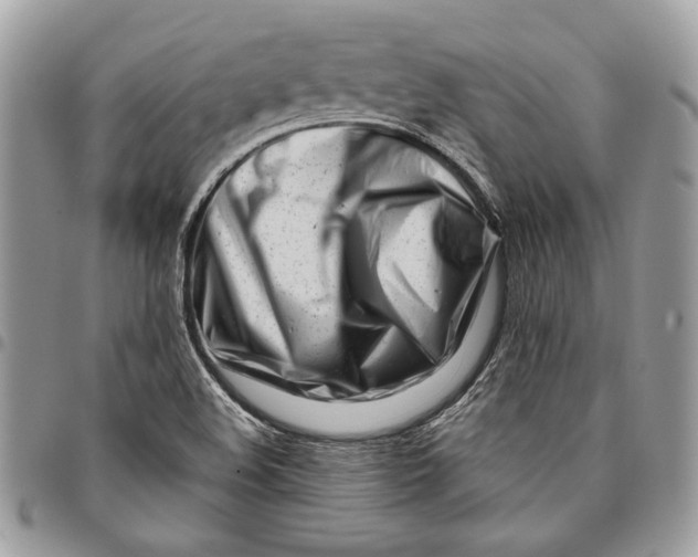 X0000096211508200802081449