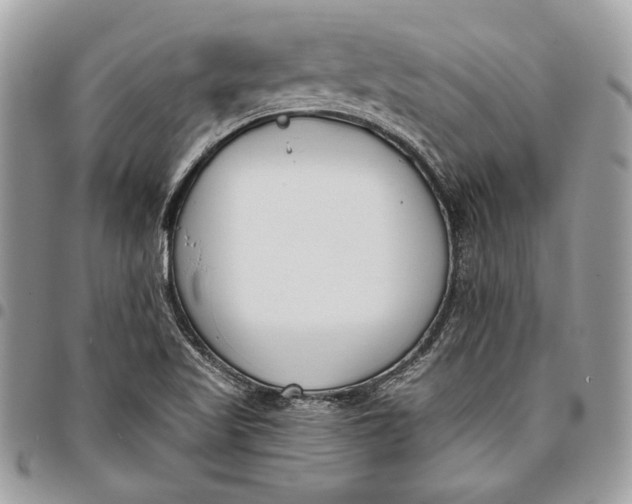 X0000096211509200802081449