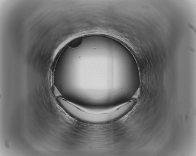 X0000096211510200802081449