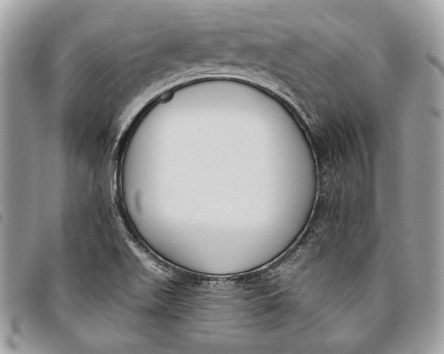 X0000096211511200802081449