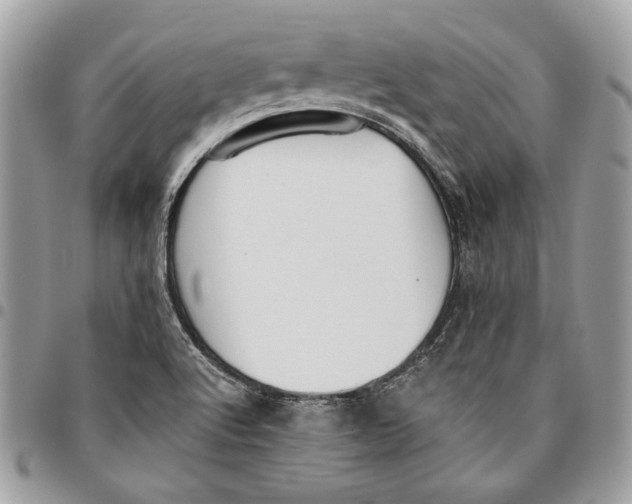 X0000096211512200802081449