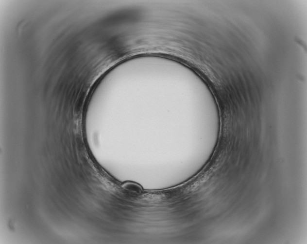 X0000096211513200802081449