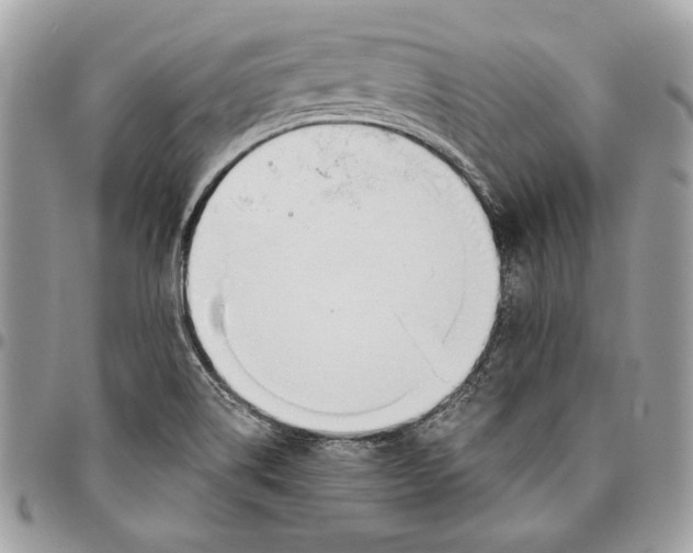 X0000096211514200802081449