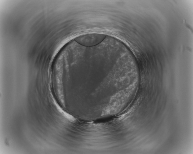 X0000096211515200802081449