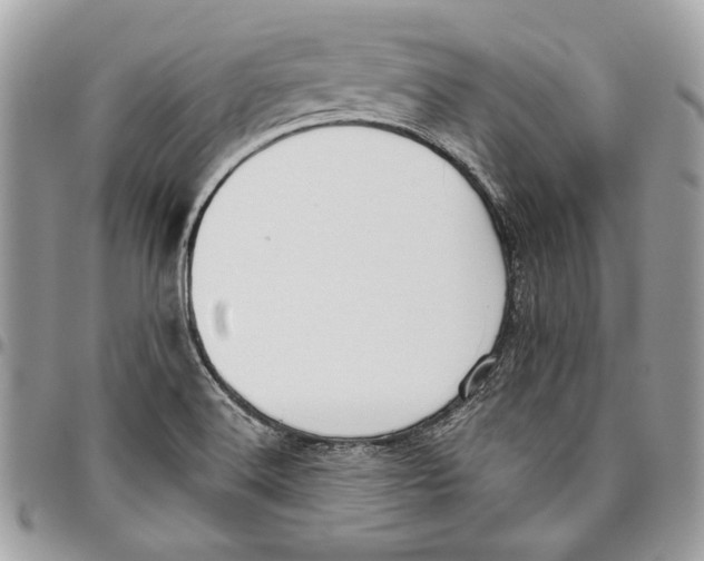 X0000096211516200802081449