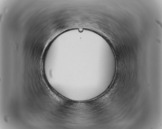 X0000096211517200802081449