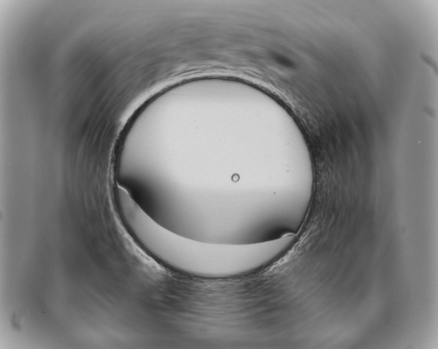 X0000096211518200802081449