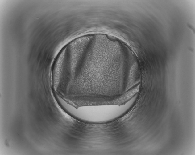 X0000096211519200802081449