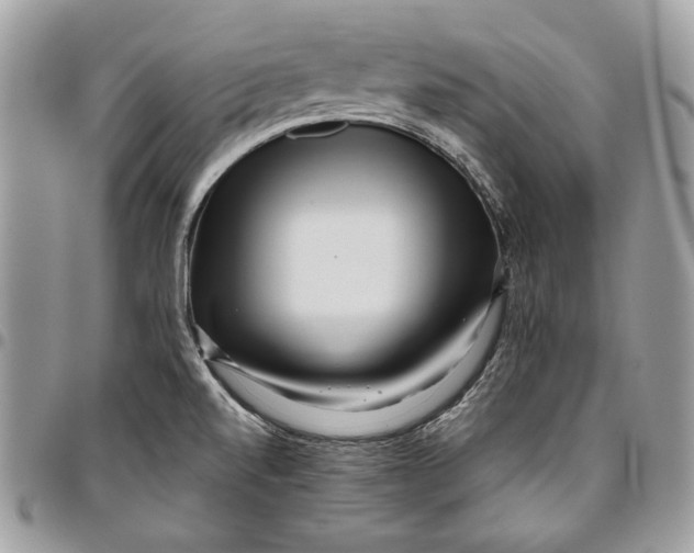 X0000096211520200802081449