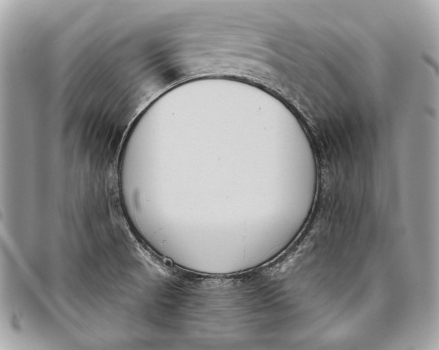 X0000096211521200802081450