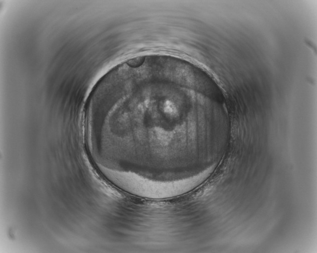 X0000096211522200802081450