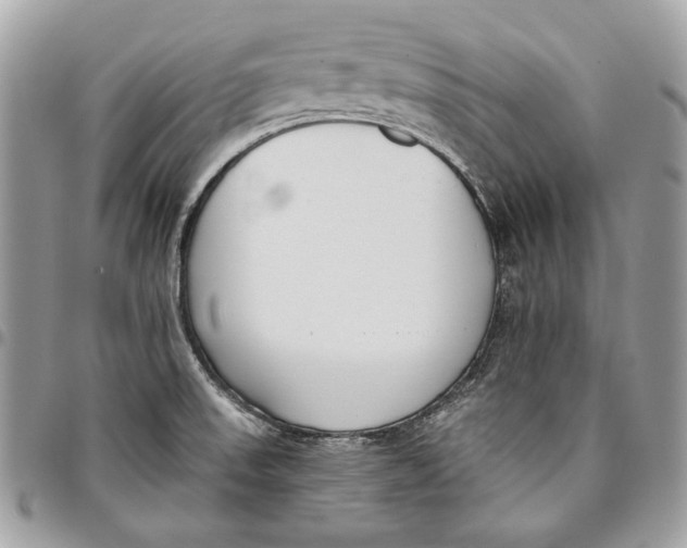 X0000096211523200802081450