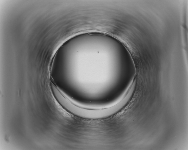 X0000096211524200802081450