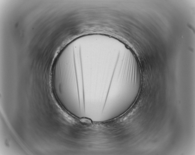 X0000096211525200802081450