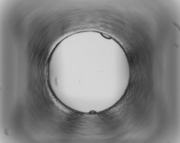 X0000096211526200802081450