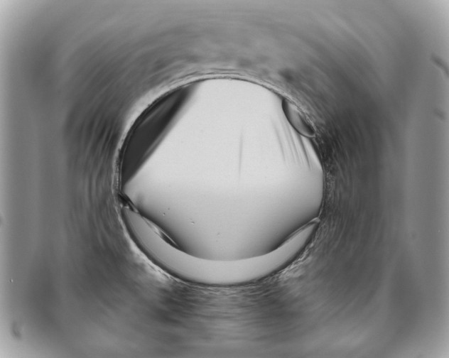 X0000096211527200802081450