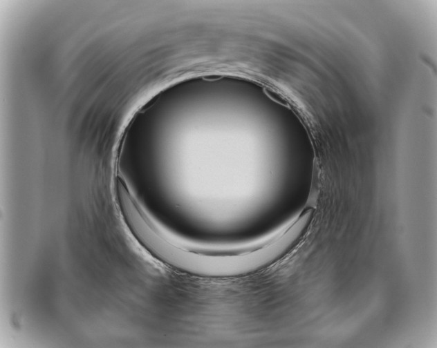 X0000096211528200802081450