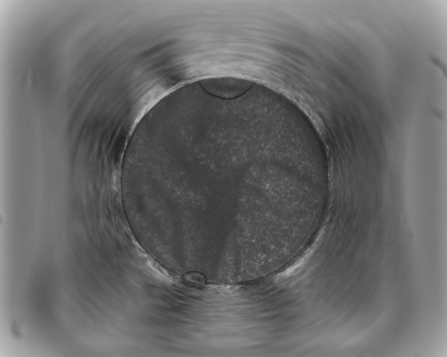 X0000096211529200802081450