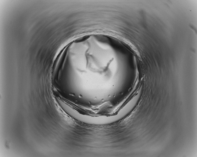 X0000096211530200802081450