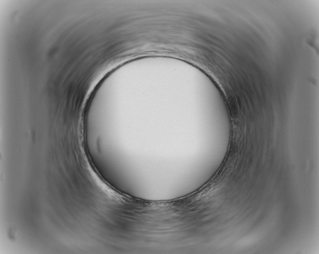 X0000096211531200802081450