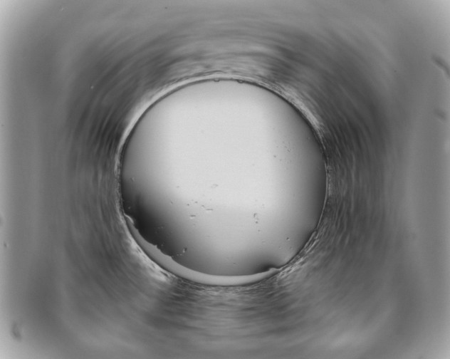 X0000096211532200802081450