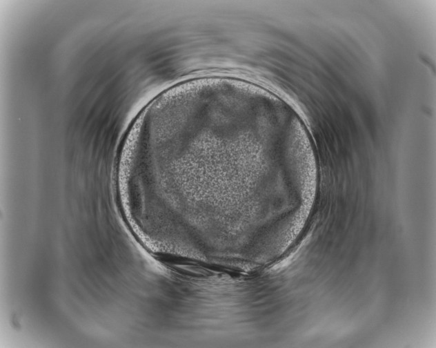 X0000096211533200802081450