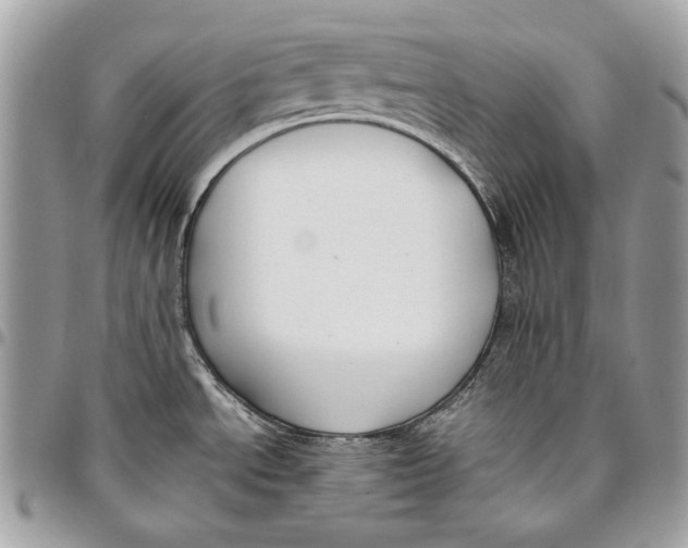 X0000096211534200802081450