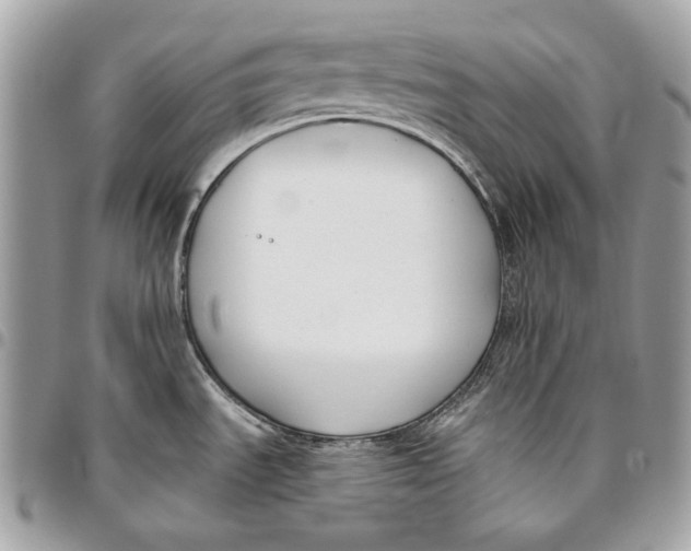 X0000096211535200802081450