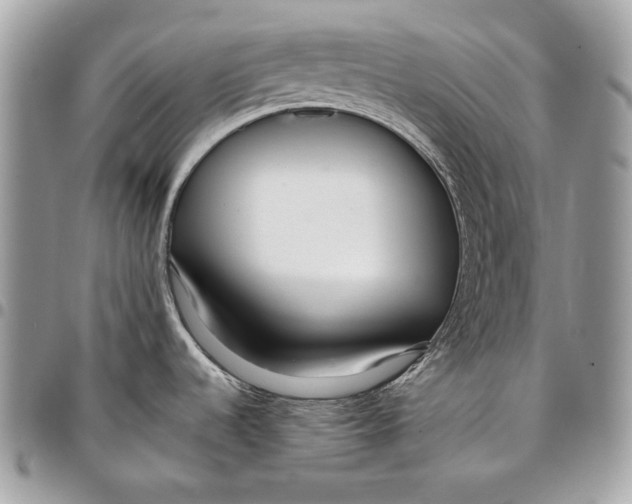 X0000096211536200802081450