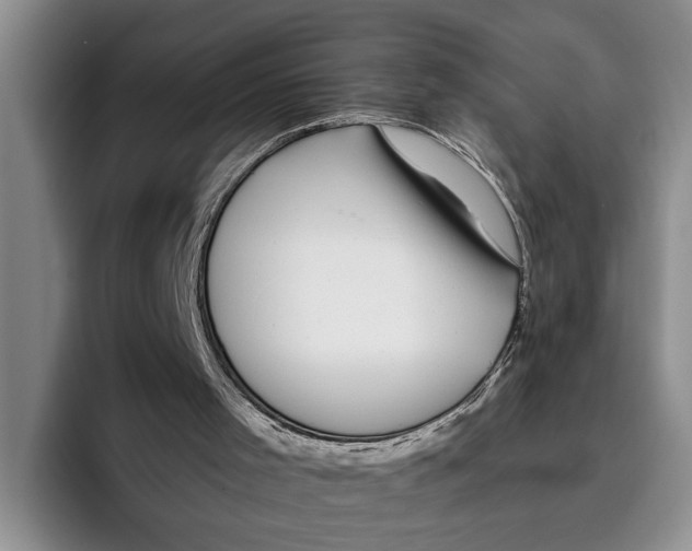 X0000096210001200802151511