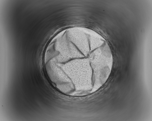 X0000096210002200802151511