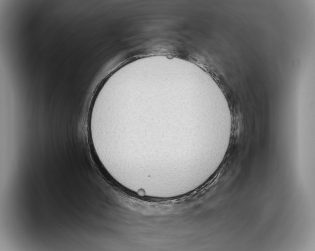 X0000096210004200802151511
