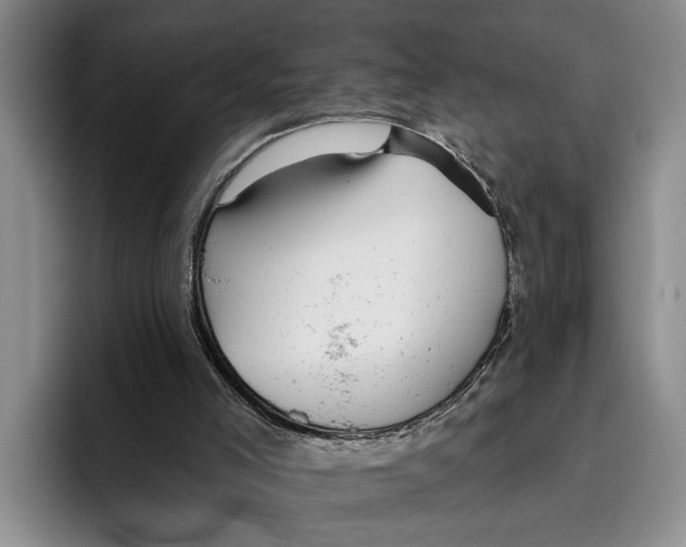X0000096210005200802151511