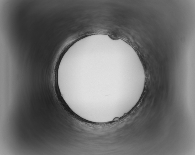 X0000096210006200802151511