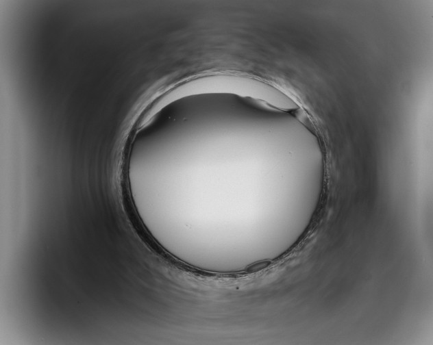 X0000096210007200802151511