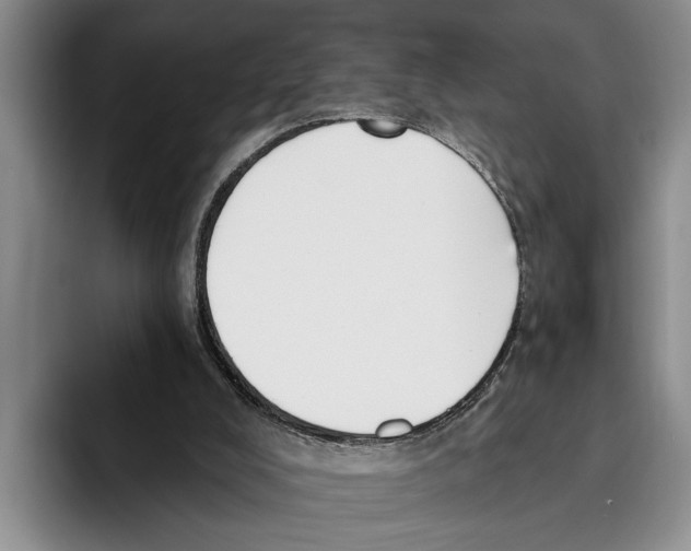 X0000096210008200802151511