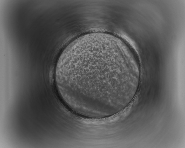 X0000096210009200802151511
