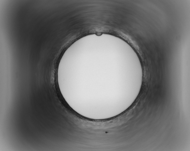 X0000096210010200802151511