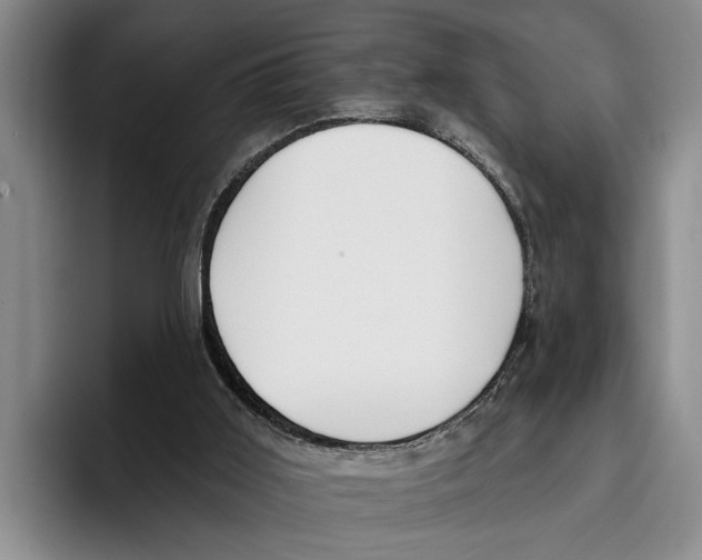 X0000096210011200802151511
