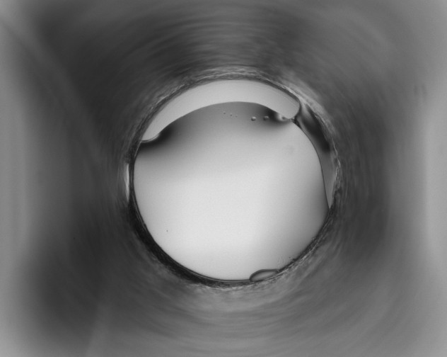 X0000096210013200802151511